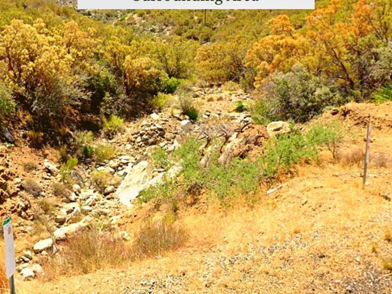 1 Acre Only $1 Down, $399/Mo : Mountain Center : Riverside County : California