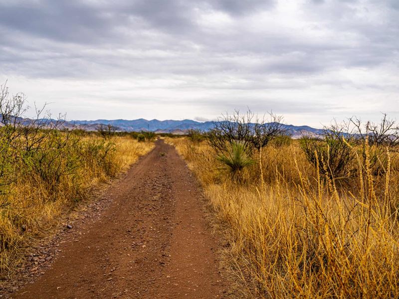 Stunning 40 Acres, Seller Finance : Sunizona : Cochise County : Arizona