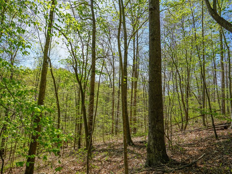 St Rt 681 7 Acres : Londonderry : Vinton County : Ohio
