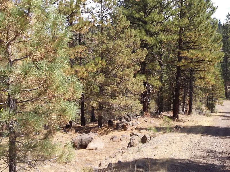 So Fresh and So Clean : Alturas : Modoc County : California