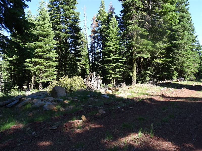 Tangible Asset : Alturas : Modoc County : California