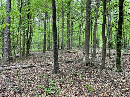 Land For Sale North Hall County Ga