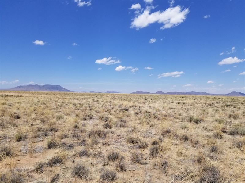 Unbeatable Value for Only $180 : San Luis : Costilla County : Colorado