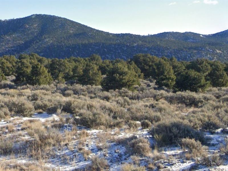 Live The CO Life on 5.07 Acres : Fort Garland : Costilla County : Colorado