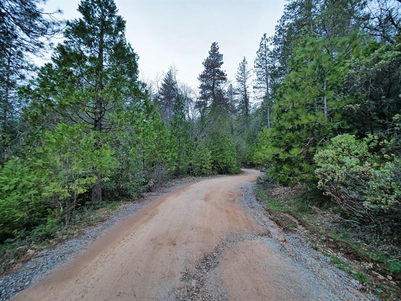 Beautiful 1.1 Ac Lot in Pioneer, CA : Pioneer : Amador County : California
