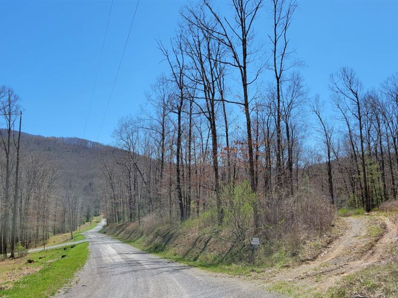 7.267 Acres in Tazewell County, VA : Bastian : Tazewell County : Virginia