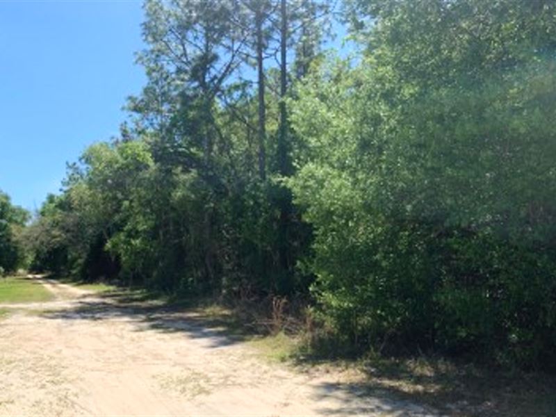 Beautiful R-2 Vacant Lot with Power : Jacksonville : Putnam County : Florida