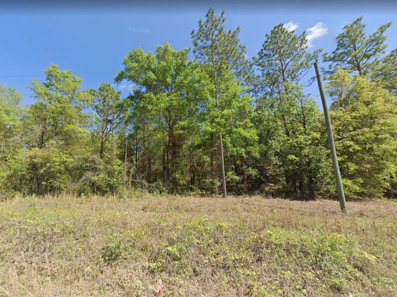 Acre Lot in Beautiful Bell, Florida : Bell : Gilchrist County : Florida
