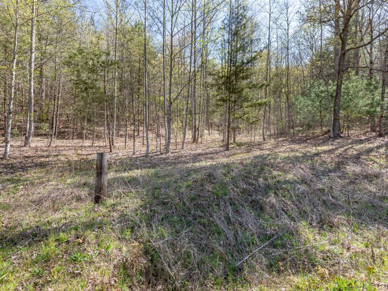 Unrestricted, Against Usfs Land : Hiawassee : Towns County : Georgia
