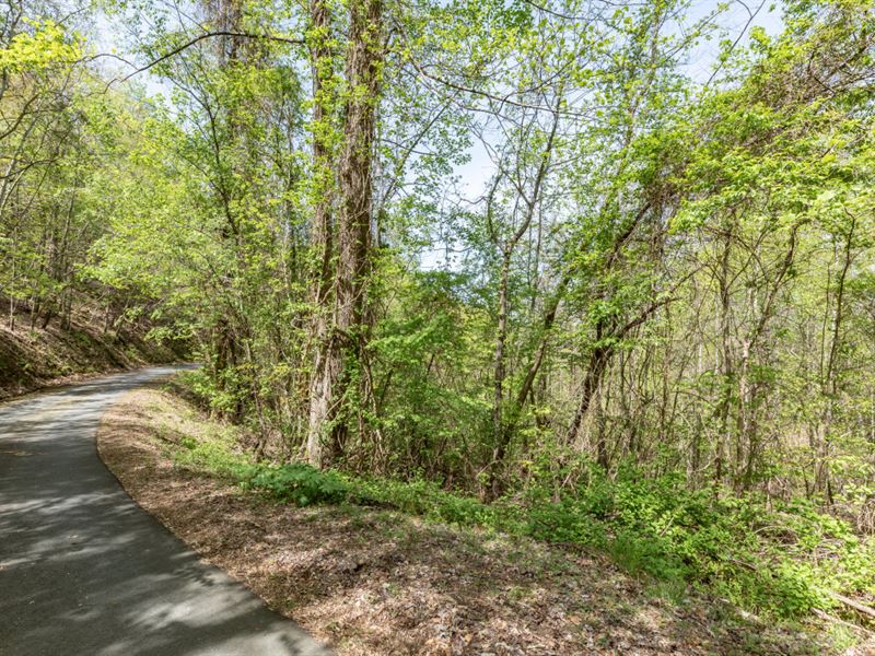 Three Combined Lots : Brasstown : Cherokee County : North Carolina