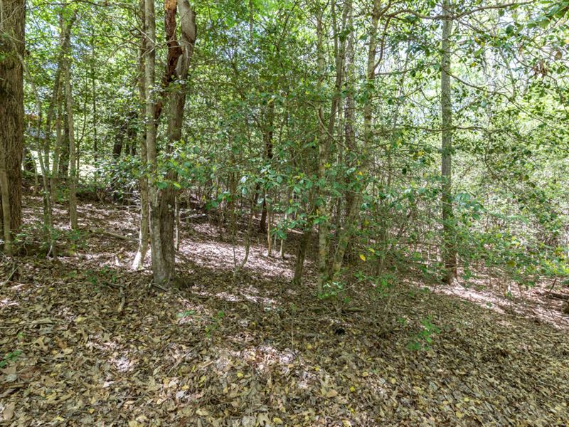Lake Access with No HOA Fees : Blairsville : Union County : Georgia