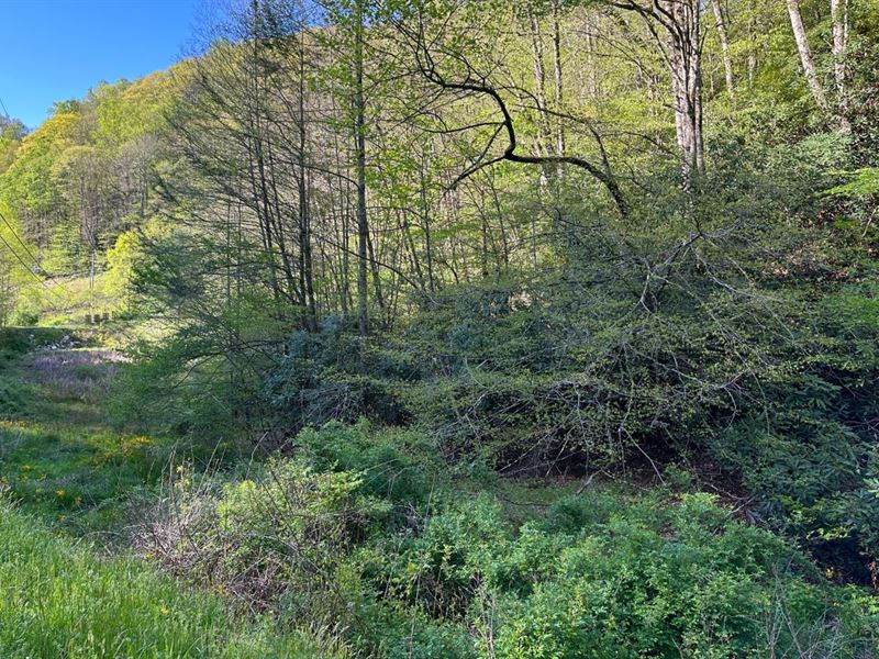 4.38 Acres in Mitchell County, NC : Bakersville : Mitchell County : North Carolina
