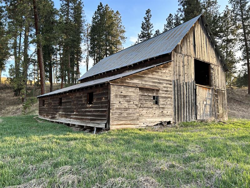 Kirby Place 156 Acres : Cottonwood : Idaho County : Idaho