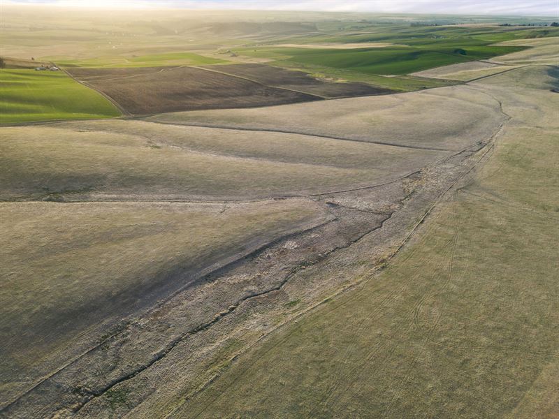 Kirby Place 158 Acres : Cottonwood : Idaho County : Idaho