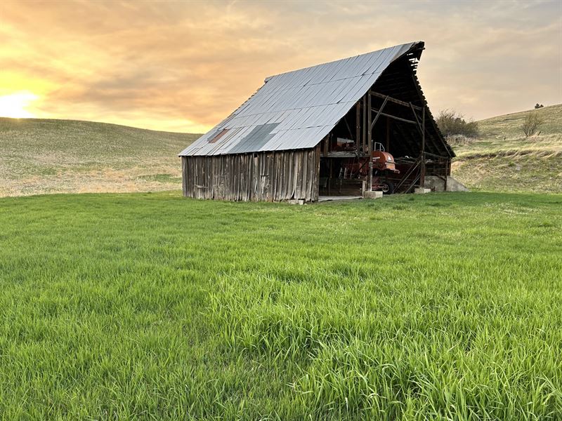 Kirby Ranch : Cottonwood : Idaho County : Idaho