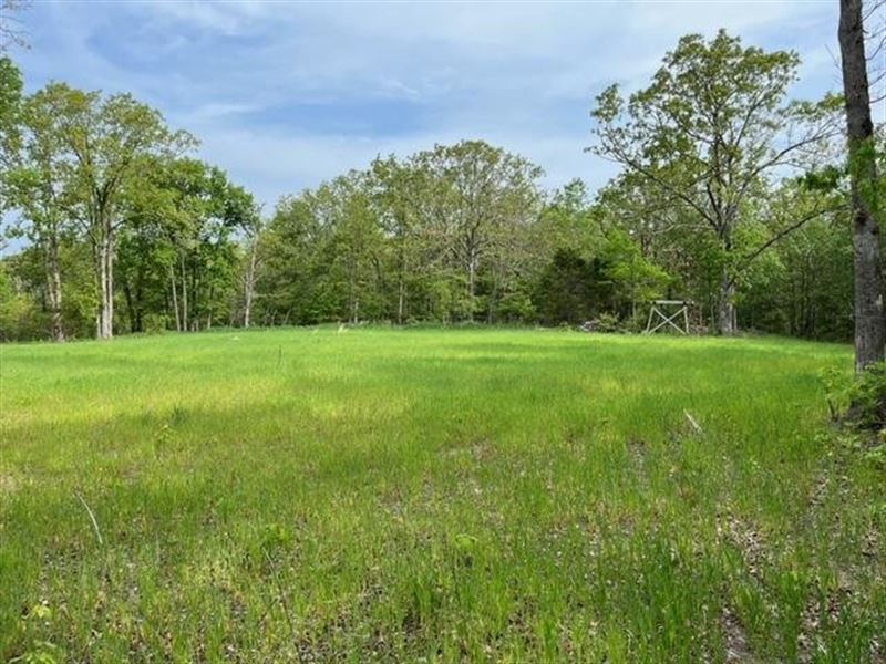 180 Acres in Huggins, Missouri : Huggins : Texas County : Missouri