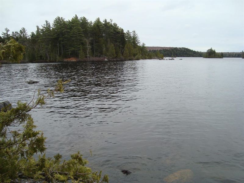 Lot I Birch Point Cathance Lake : Cooper : Washington County : Maine