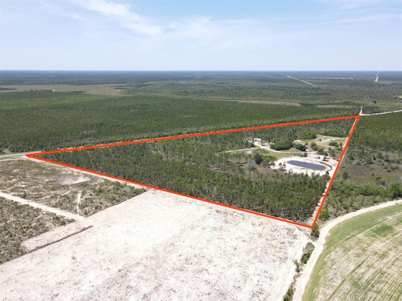 30 Acres in Youngstown, Florida : Youngstown : Calhoun County : Florida