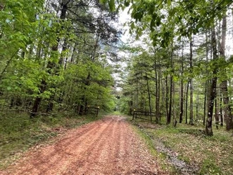 12 Acres in Jasper County in Louin : Louin : Jasper County : Mississippi
