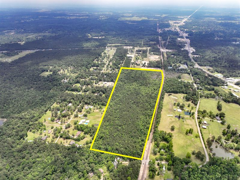 55 Acres, County Road 451 : Kirbyville : Jasper County : Texas