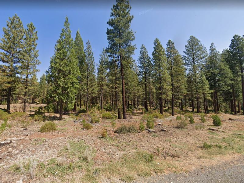 Explore Ca, Affordable 0.92 Acres : California : Modoc County : California