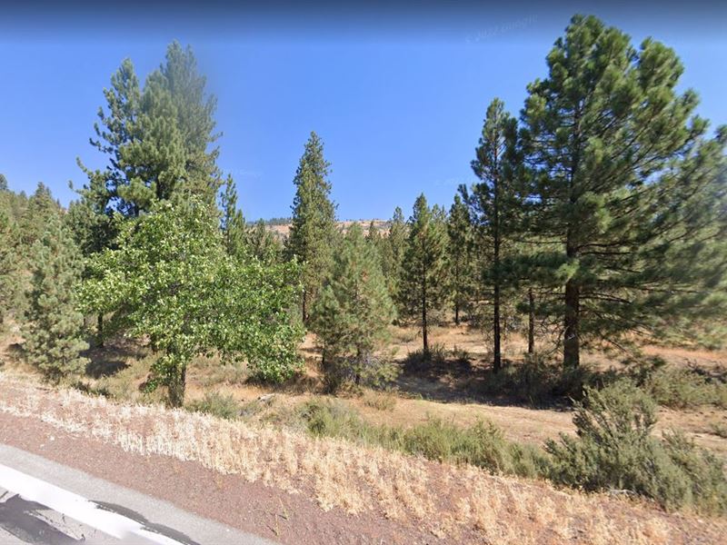 Move to Modoc County on 0.99 Ac : California : Modoc County : California