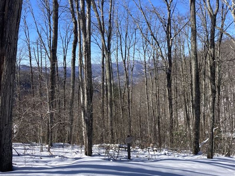 .37 Acre, Airbnb Ready : Burnsville : Yancey County : North Carolina