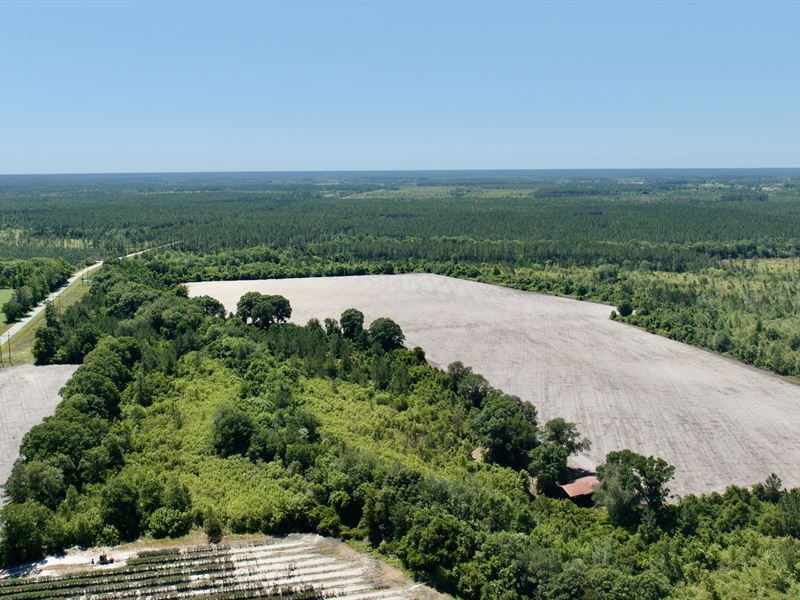 Jamestown Rd Paradise : Waycross : Ware County : Georgia