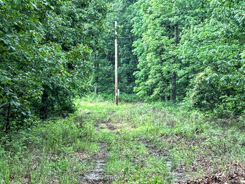 9 Wooded Acres in Republic, MO : Republic : Greene County : Missouri