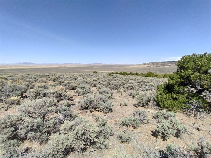 Enjoy Nature & Any Other Adventures : San Luis : Costilla County : Colorado