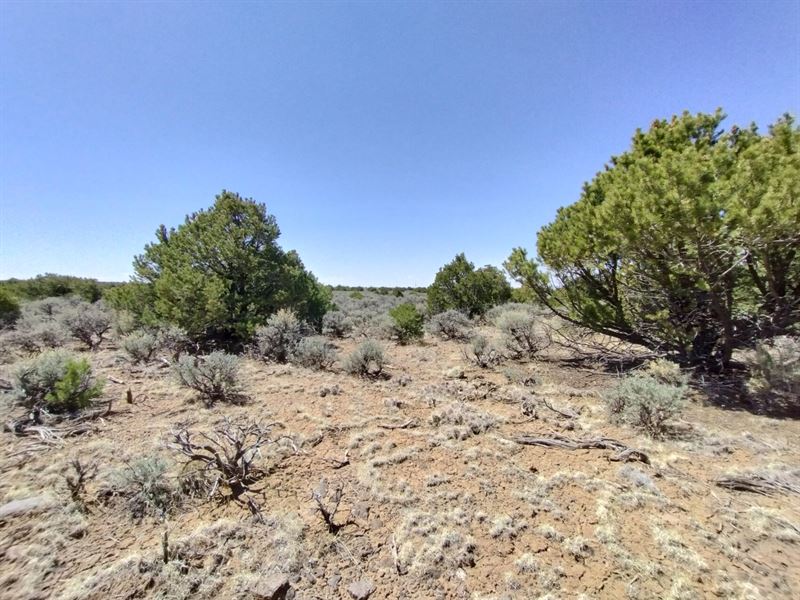 Perfect Spot to Enjoy Weekends : San Luis : Costilla County : Colorado