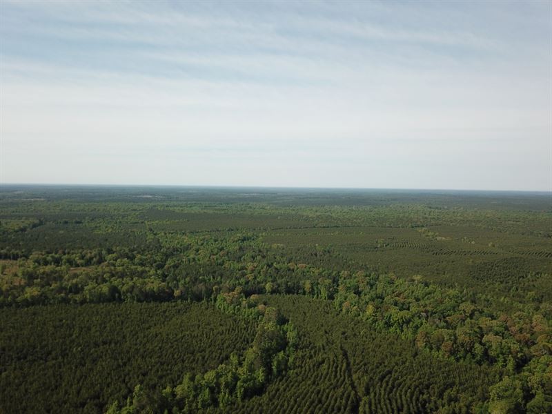 La, Jackson 40 Acres : Zoar : Jackson Parish : Louisiana
