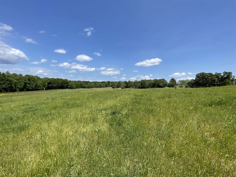61 Acres, White County, GA : Cleveland : White County : Georgia