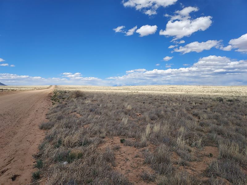 Experience The Ultimate Adventure : San Luis : Costilla County : Colorado
