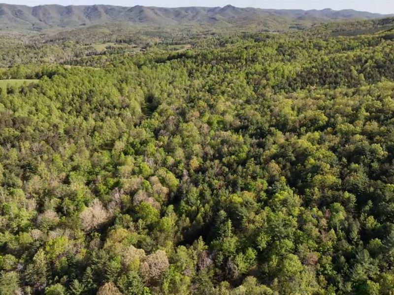 8.612 Acres in Patrick County, VA : Stuart : Patrick County : Virginia