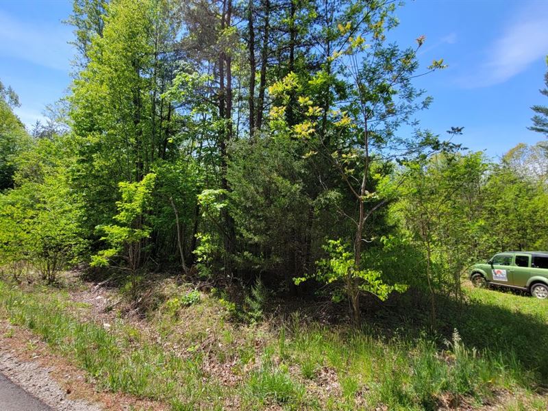 7.476 Acres in Patrick County, VA : Stuart : Patrick County : Virginia