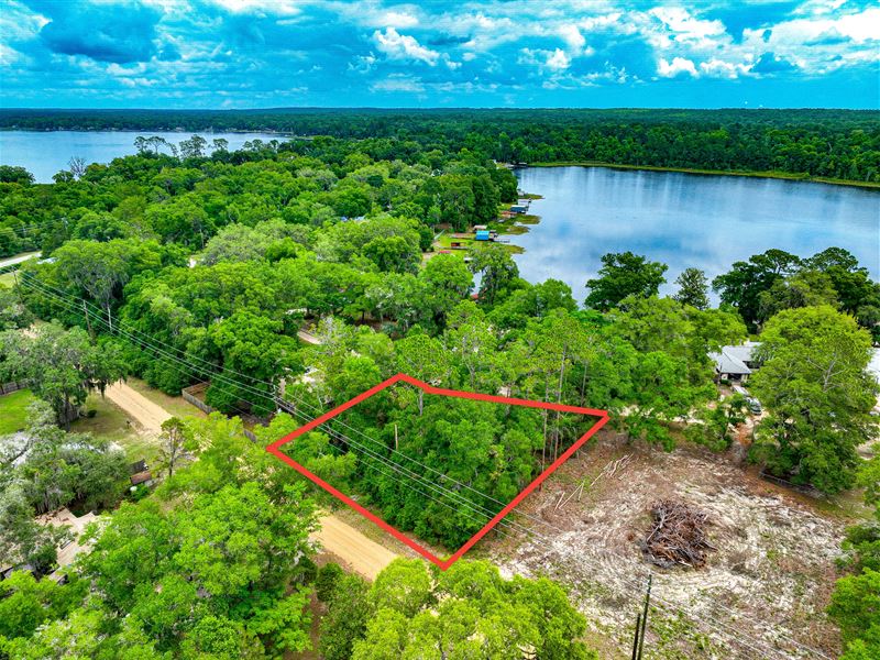 Fish and Kayak at Grandin Lake : Interlachen : Putnam County : Florida