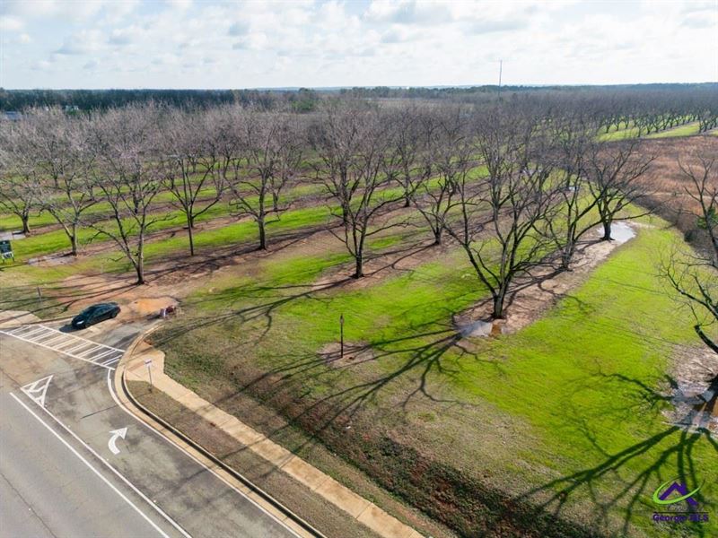 Prime Perry Commercial Lot : Perry : Houston County : Georgia