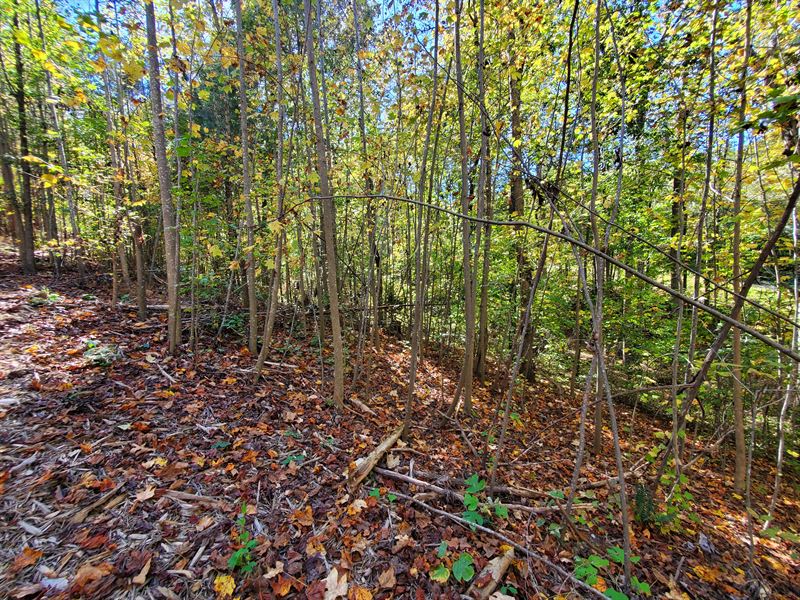 Private 10+/- Acres : Buchanan : Polk County : Georgia