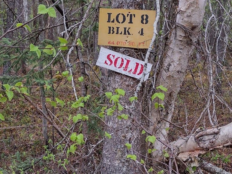 1.01 Acres for Just $19K : Palmer : Matanuska-Susitna Borough : Alaska