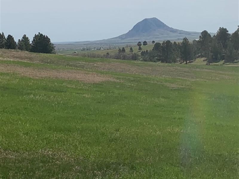 Jackson Road Whitewood, SD : Whitewood : Pennington County : South Dakota
