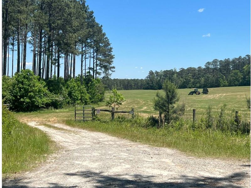 308 Acres Marben Farm Rd : Mansfield : Jasper County : Georgia
