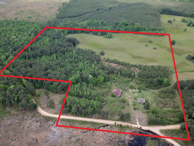 35 Acre Tract Close to Ouachita : Sparkman : Dallas County : Arkansas