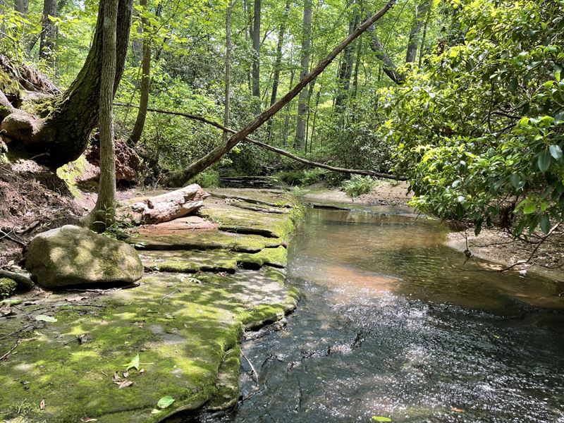 88 Acres, Jackson County, GA : Pendergrass : Jackson County : Georgia