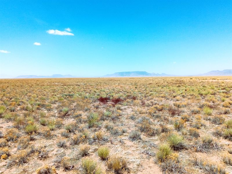 Your Greatest Investment in CO : San Luis : Costilla County : Colorado