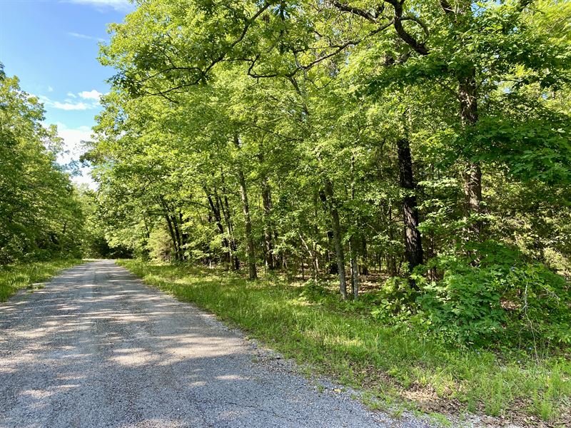 Off-Grid Getaway Near Lake and Golf : Horseshoe Bend : Izard County : Arkansas