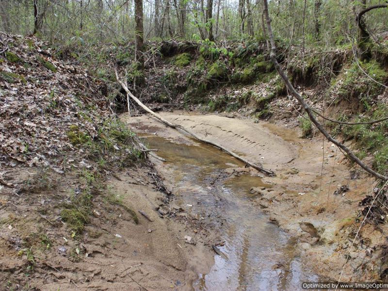 128 Ac in Kosciusko, MS : Kosciusko : Attala County : Mississippi