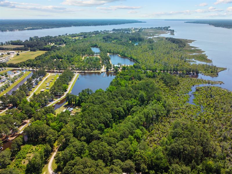 Duck Hunting / Fishing Property : Chocowinity : Beaufort County : North Carolina
