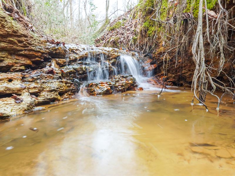 49 Acres, CR 3144 : Mount Enterprise : Rusk County : Texas