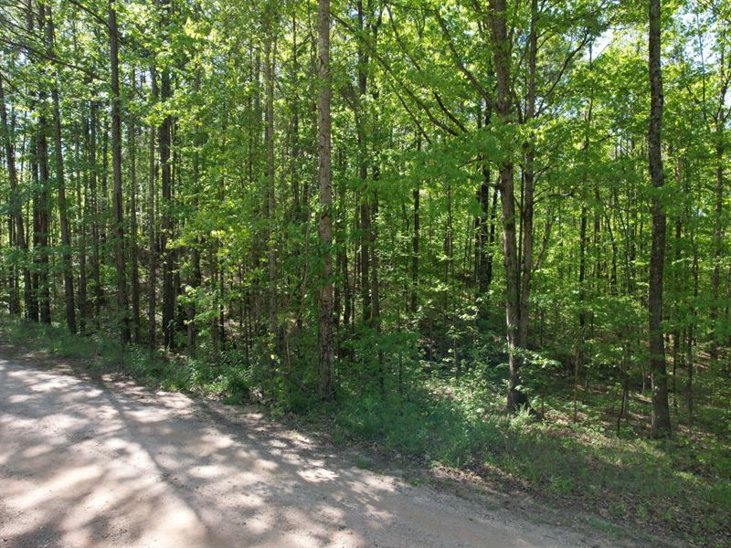 Twin Lakes Lot 4 : Roanoke : Randolph County : Alabama